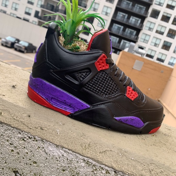 Air Jordan 4 raptors sneaker planter - Picture 3 of 4